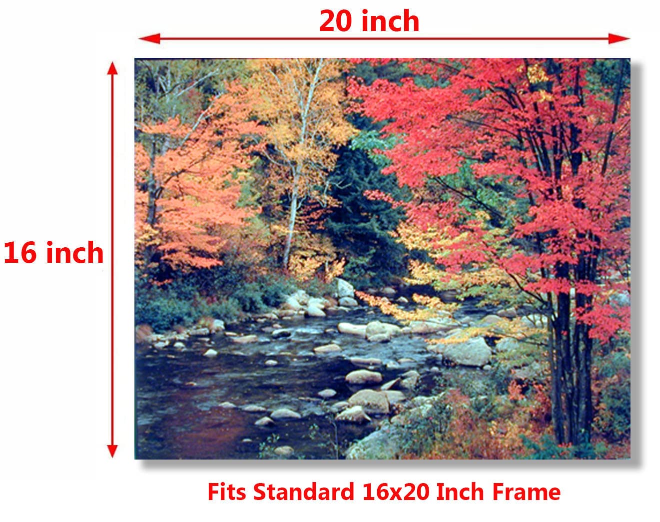 Red Trees in Forest With Stream Landscape Scenery Wall Decor Art Print Poster (16x20)