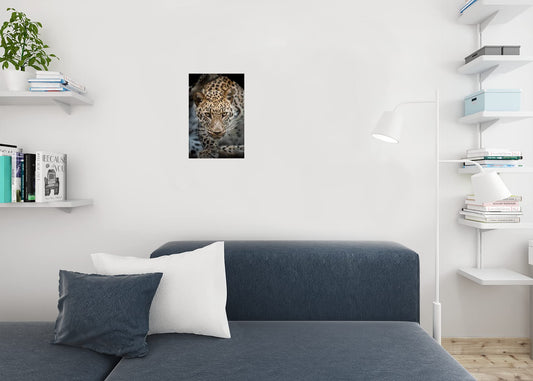 Close Up of Angry Leopard Photo Leopard Pictures Wall Decor Jungle Animal Pictures for Wall Posters of Wild Animals Jungle Leopard Print Decor Animal Wall Decor Cool Wall Decor Art Print Poster 12x18