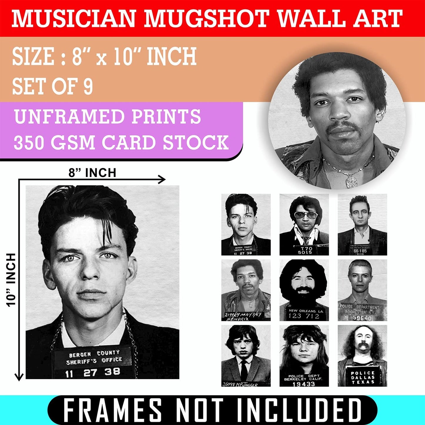 Musician Mugshot Poster - Bowie Elvis Johnny Cash Jerry Garcia Jimi Hendrix Mick Jagger Frank Sinatra David Crosby Janice Joplin - Vintage Rock Band Posters Wall Art - Set of 9 Unframed 8x10 Prints