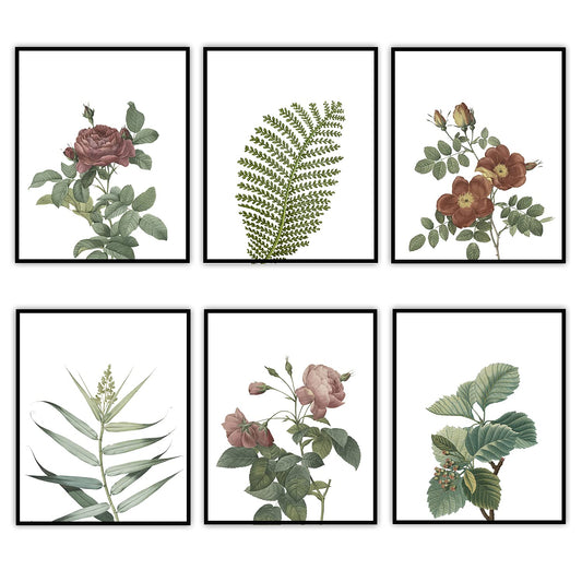 Botanicals & Roses - Botanical Home and Gardening Decoration, Garden Flower Poster, Cottage Core Room Decor, Classic Plant Poster Gift Idea, Set of 6 Prints - 8x10 Unframed Art Prints Posters