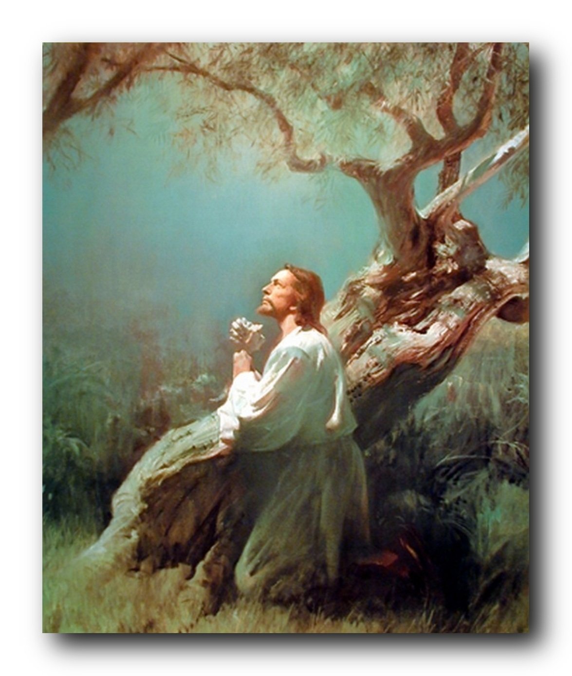 Jesus Christ Praying At Gethsemane Picture Art Print Poster (16x20)