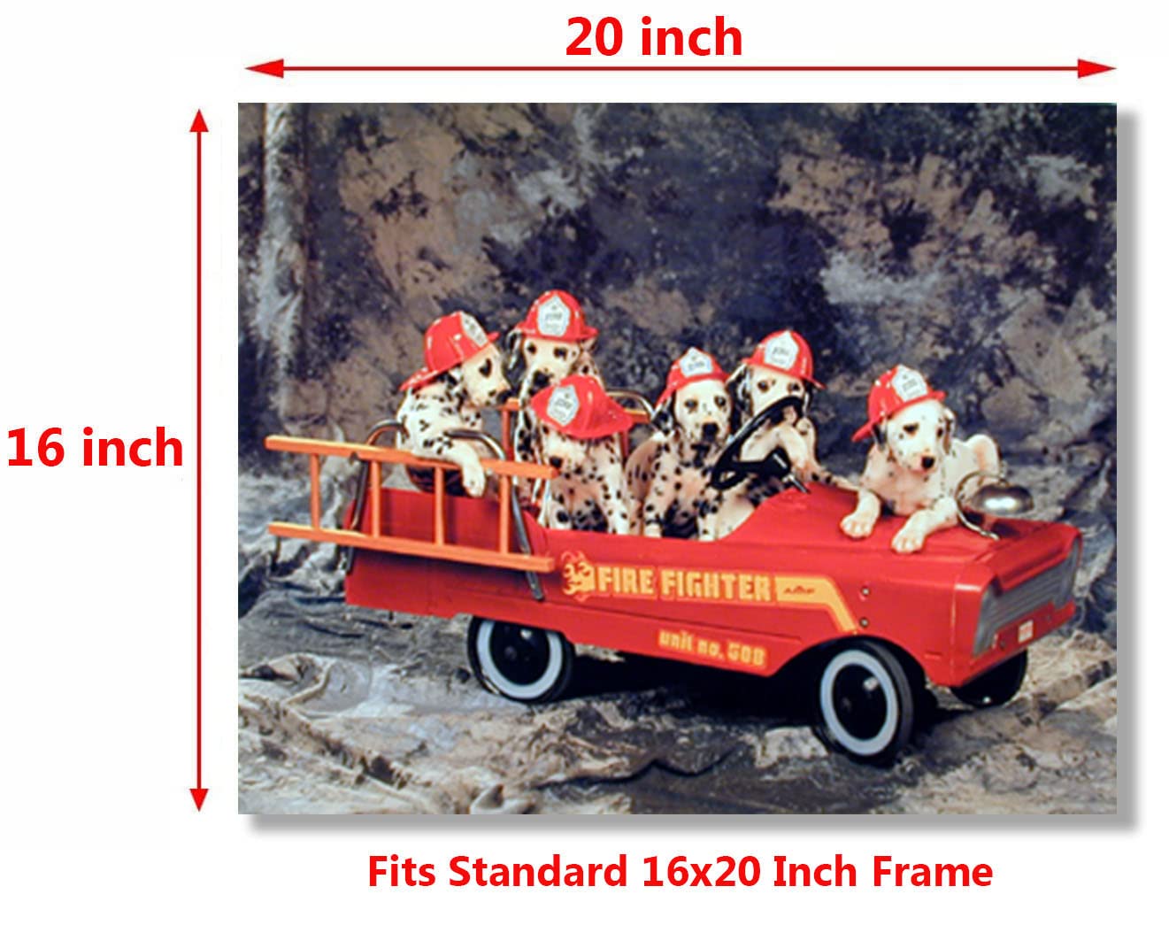 Dalmatian Puppies in Fire Truck Dog Animal Wall Decor Art Print Poster (16x20)