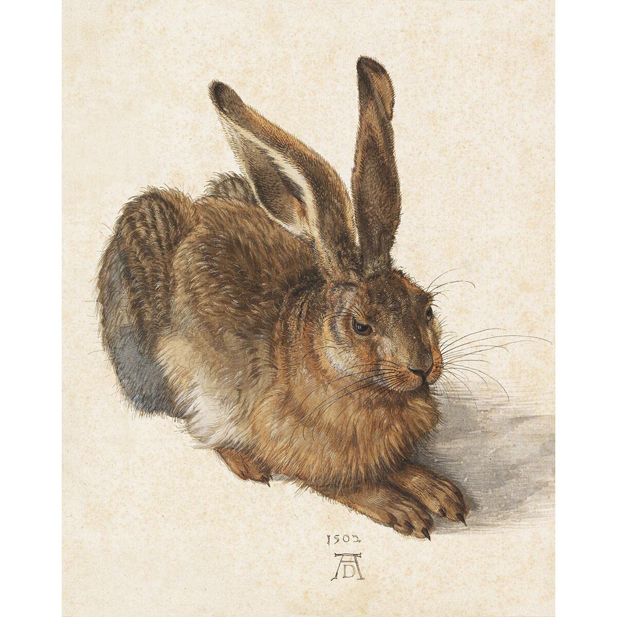 Meishe Art Poster Print Young Hare Rabbit by Albrecht Durer Famous Sketch Drawing Watercolour Painting Reproduction Classic Artwork Home Wall Decor for Living Room Bedroom