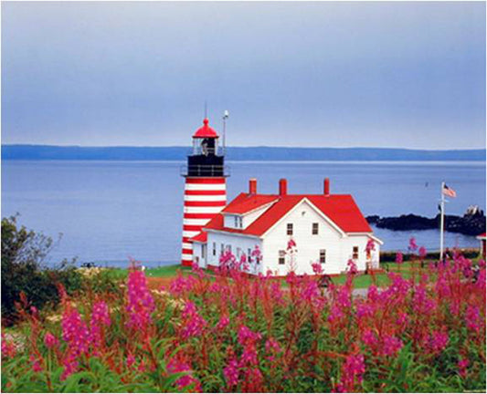 Lighthouse Portland Maine Three Set 8x10 Picture Ocean Landscape Wall Decor Art Print Posters