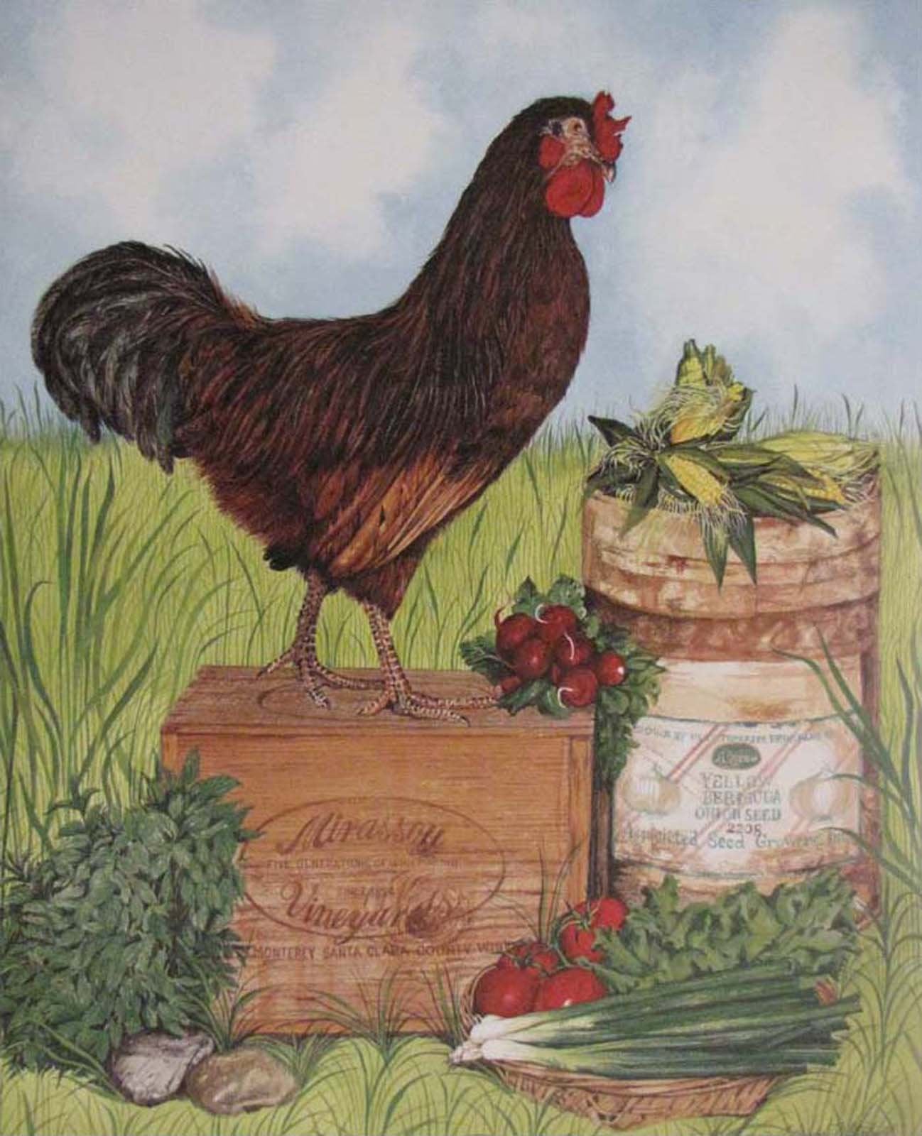 Rooster Chicken Farm Animal Four 8x10 Set Picture Kitchen Wall Decor Art Print Posters