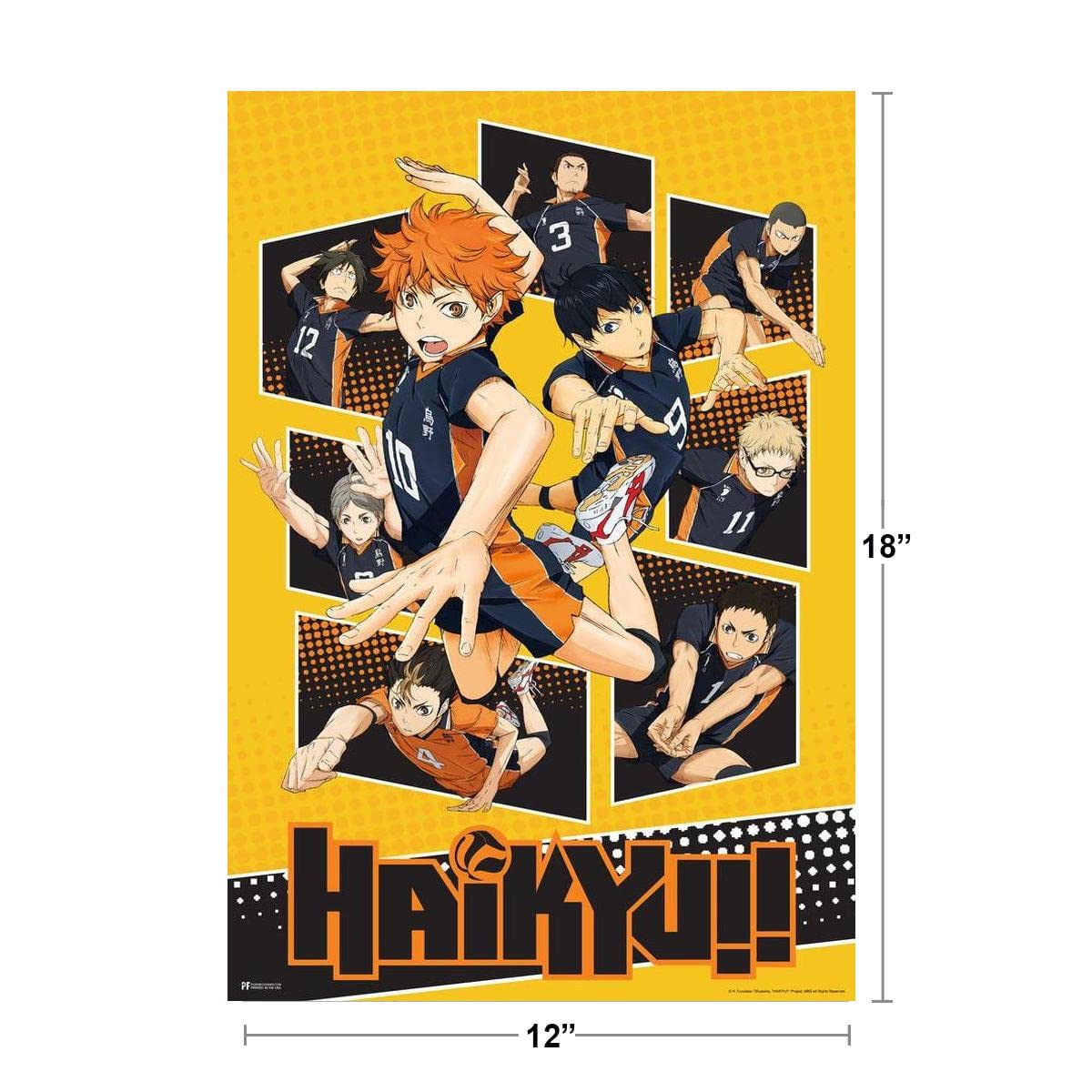 Haikyuu Poster Karasuno High School Volleyball Team Shoyo Anime Stuff Haikyuu Manga Haikyu Anime Poster Crunchyroll Streaming Anime Merch Animated Series Show Cool Wall Decor Art Print Poster 12x18