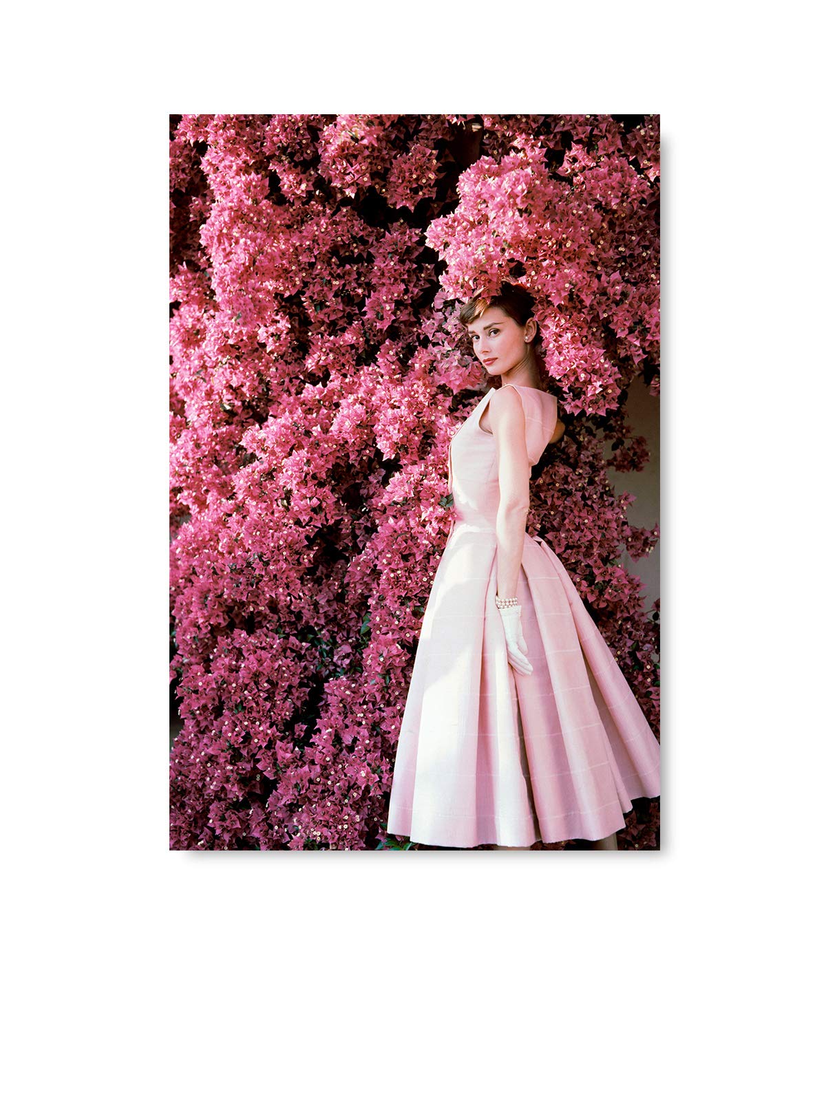 Audrey Hepburn Poster Gift Pink Mood Portrait Audrey Hepburn Poster Print Art for Office Decor 8" x 12"