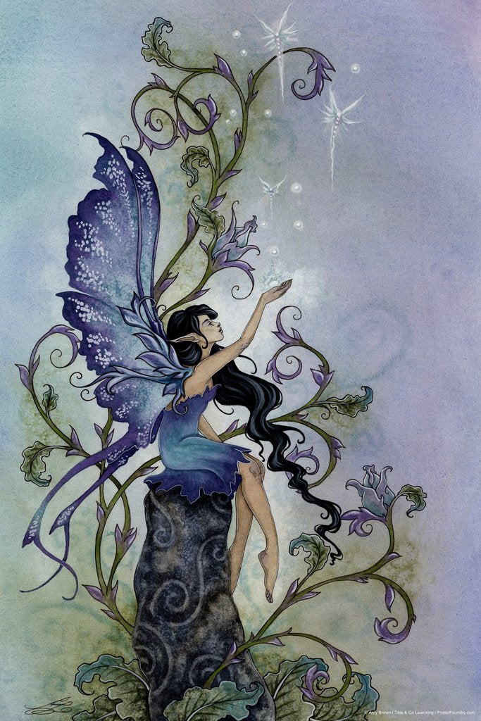 Creation by Amy Brown Cool Wall Decor Art Print Poster 12x18