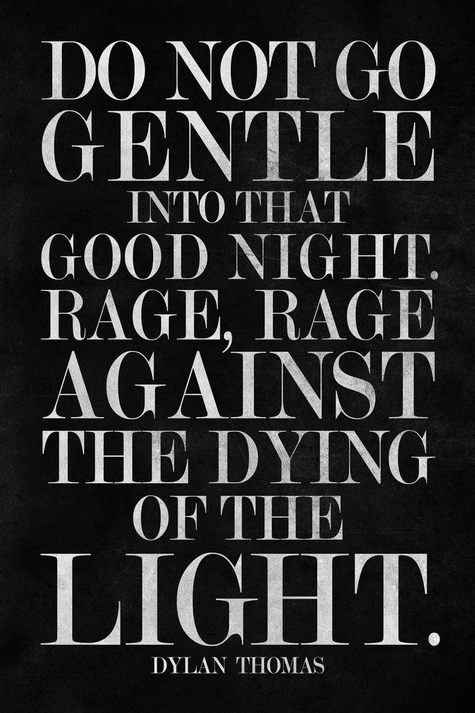 Dylan Thomas Do Not Go Gentle Into That Good Night Famous Motivational Inspirational Quote Black White Quote Teamwork Inspire Quotation Gratitude Sign Cool Wall Decor Art Print Poster 12x18