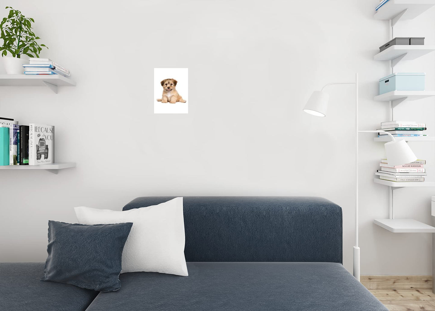 Havanese Puppy Dog Cute Sitting Puppy Posters For Wall Funny Dog Wall Art Dog Wall Decor Puppy Posters For Kids Bedroom Animal Wall Poster Cute Animal Posters Thick Paper Sign Print Picture 8x12