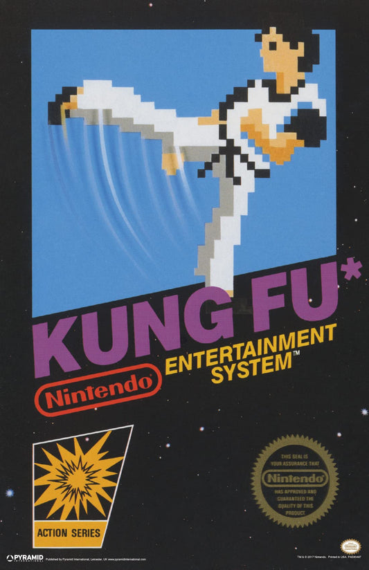 Pyramid America Nintendo Kung Fu 11x17 Poster Print