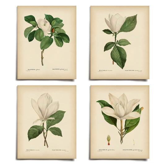 Vintage Pink Magnolia Minimal Floral Prints (4 PRINTS) | Modern Wall Art Victorian Illustration UNFRAMED Modern Decorations | Antique Decor Boho Abstract Set Aesthetic | Living Room Bedroom Bathroom Office Kitchen Large Poster | Boy Girls Teen Kids Baby |