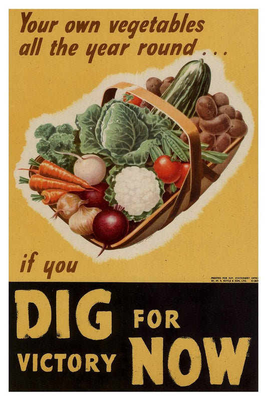 Dig For Victory Now World War II Propaganda Cool Wall Decor Art Print Poster 12x18
