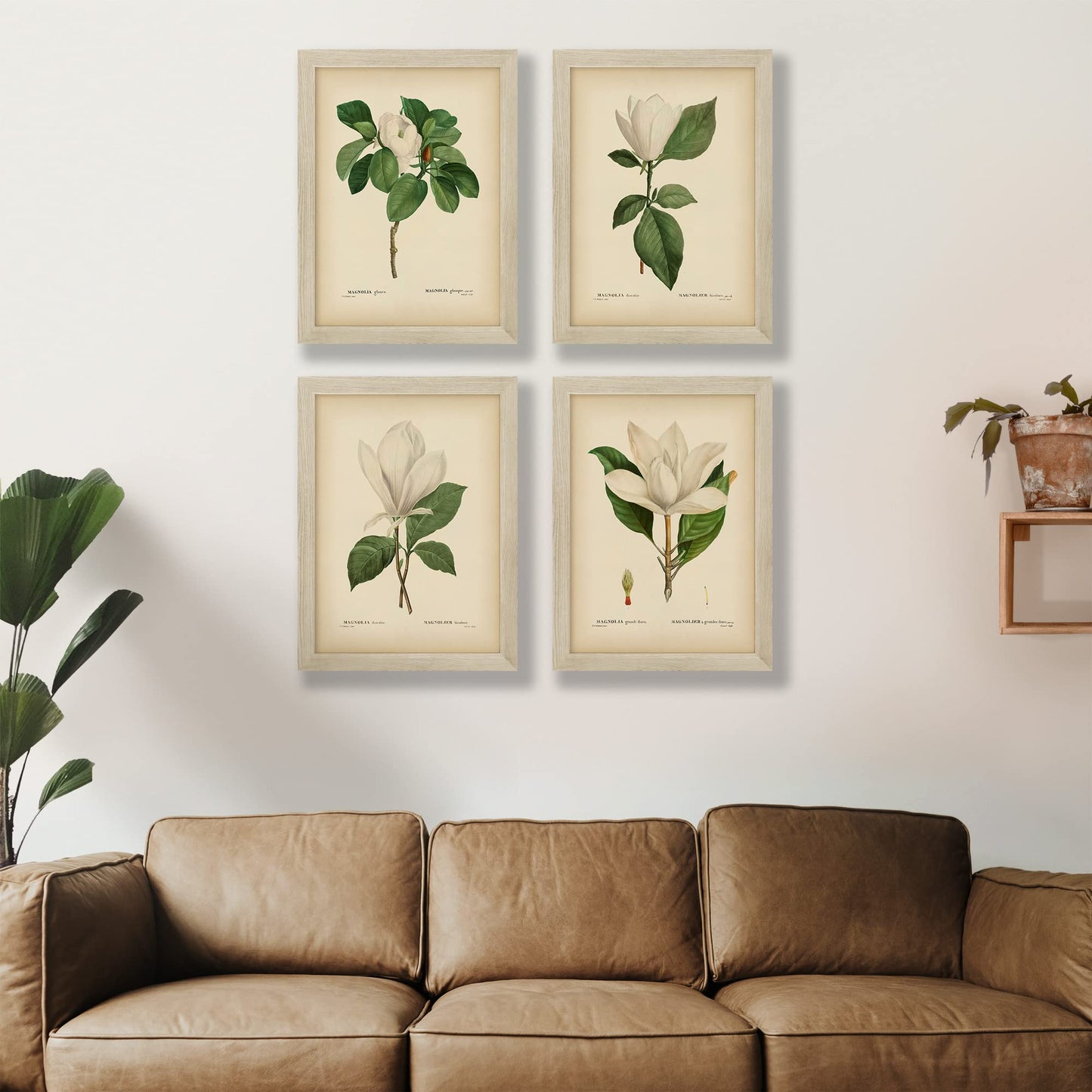 Vintage Pink Magnolia Minimal Floral Prints (4 PRINTS) | Modern Wall Art Victorian Illustration UNFRAMED Modern Decorations | Antique Decor Boho Abstract Set Aesthetic | Living Room Bedroom Bathroom Office Kitchen Large Poster | Boy Girls Teen Kids Baby |