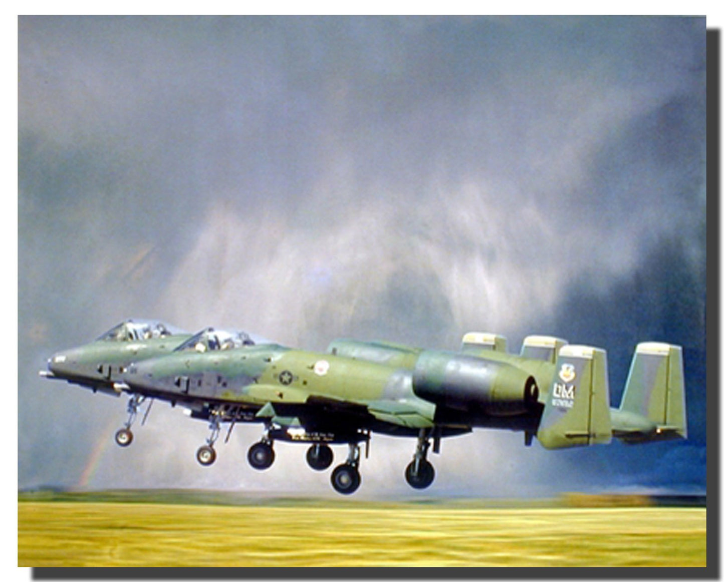 Military Aviation Wall Decor Airforce A-10 Thunderbolt Warthog Jet Airplane Art Print Poster (16x20)