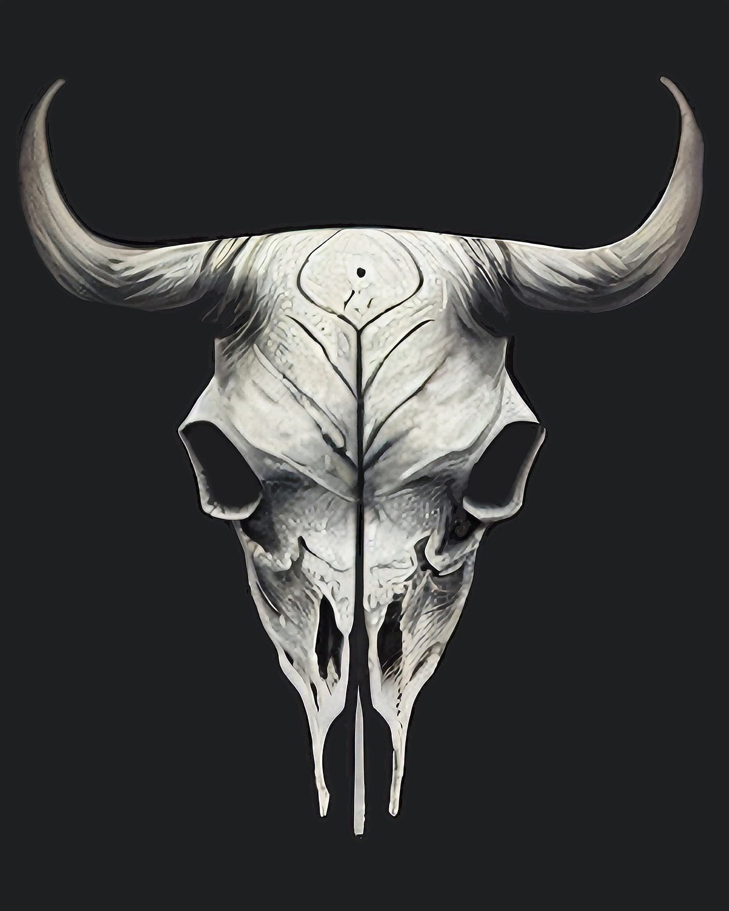 Cow Skull Prints, Modern Farmhouse Prints, Cow Skull Poster, Animal Skull Decor, Animal Skull Wall Prints, Western Decor For Bedroom, Skull Decor, Western Room Decor for Boys (8x10 Unframed)