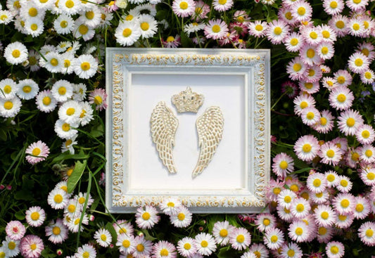 Angel wings wall decor (7.87x7.87) in