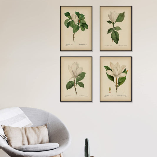 Vintage Pink Magnolia Minimal Floral Prints (4 PRINTS) | Modern Wall Art Victorian Illustration UNFRAMED Modern Decorations | Antique Decor Boho Abstract Set Aesthetic | Living Room Bedroom Bathroom Office Kitchen Large Poster | Boy Girls Teen Kids Baby |