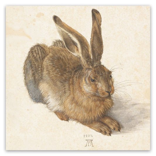 KWAY Albrecht Durer Art Print Poster - Young Hare - Fine Artwork Canvas Wall Art Decor - Unframed Rabbit Picture - Contemporary Home Decor 8x8in/20x20cm