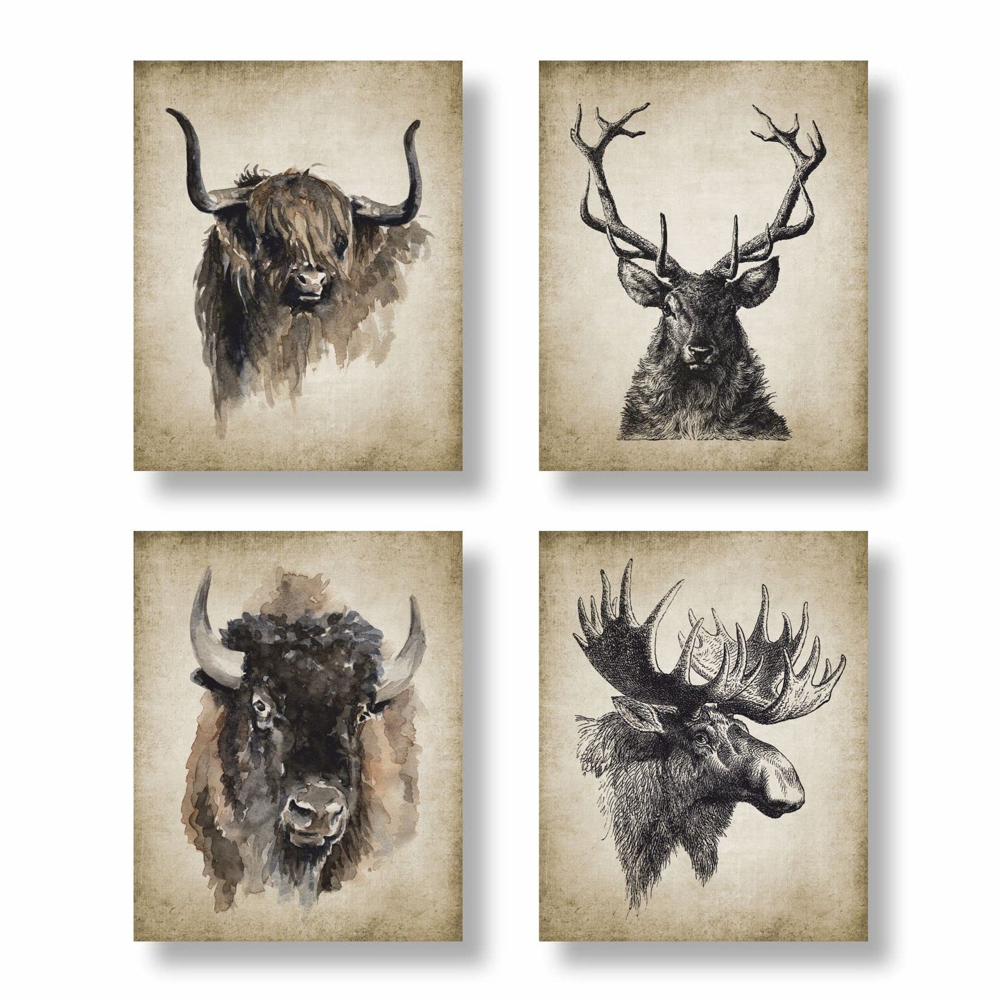 Batuba Design buffalo deer Wall Decor Poster Prints, Set of 4 FRAMELESS (8''x10''),Wild Animal Canvas Art Print American Highland Cow in Yellowstone National Park Picture Painting buffalo deer Wall