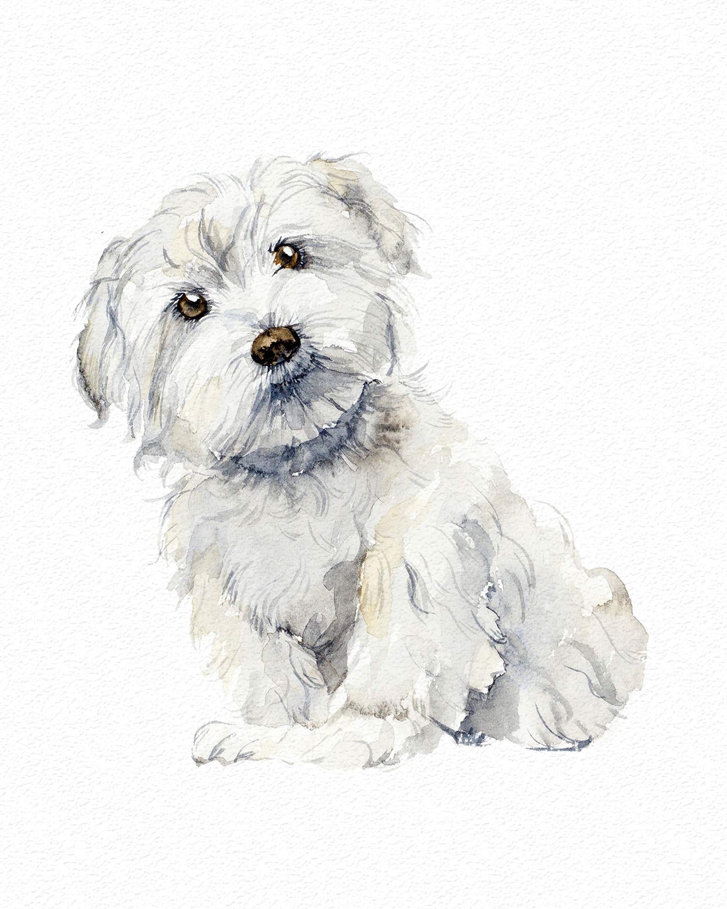 7Dots Art. Cute Dogs. Watercolor Art Print, poster 8"x10" on Fine Art thick Watercolor paper for living room, bedroom, bathroom. Dogs Wall art decor. (Maltese)