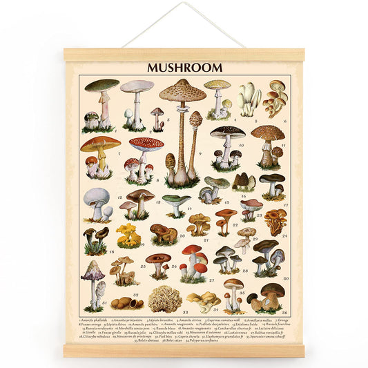 Vintage Mushroom Poster Fungus Wall Art Prints Rustic Mushroom Wall Hanging Illustrative Reference Chart Poster for Living Room Office Classroom Bedroom Dining Room Decor Frame, 15.7 x 19.7 Inches