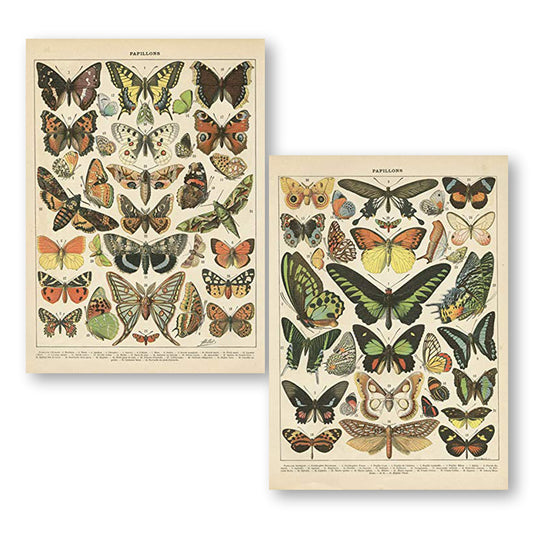 2 Pack Vintage Butterfly Poster, Retro Style Canvas Wall Decor Art Painting,Without Fading(11" x14")