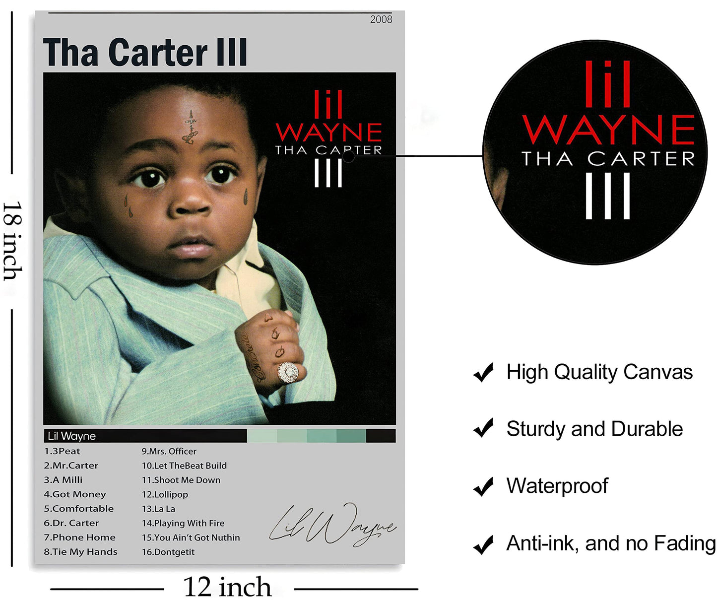 Music Poster Tha Carter III Album Cover Art Wall Canvas Pictures for Modern Room Decor Prints Unframed 12" x 18"