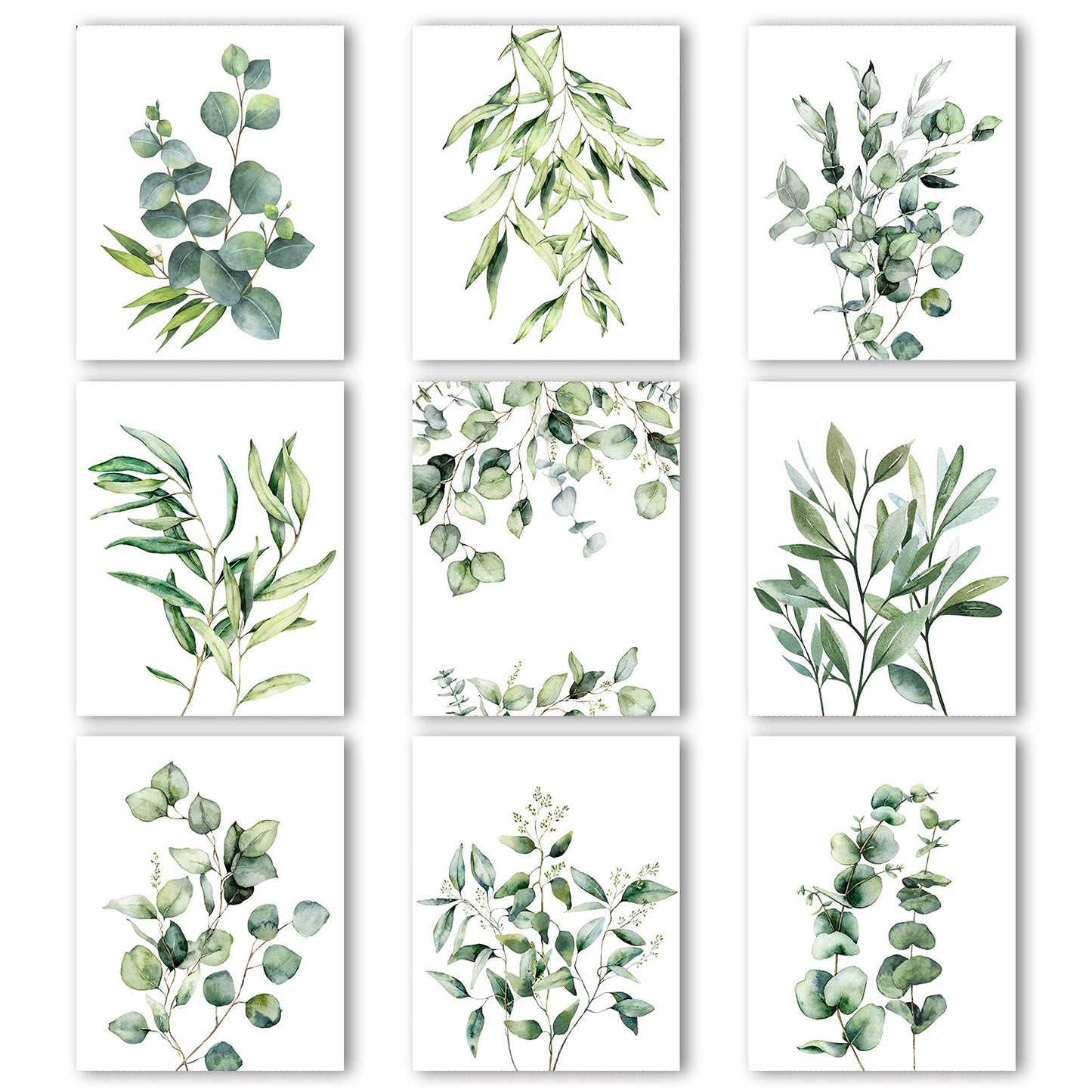 Zonon 9 Pieces Botanical Plant Wall Art Prints Eucalyptus Wall Decor Boho Sage Green Leaves Room Decor Posters Unframed Minimalist Wall Art for Bathroom Living Room Bedroom Kitchen (Plant Style)