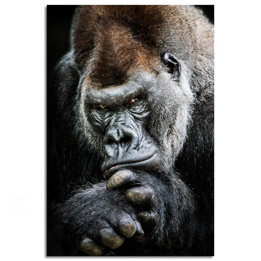 Gorilla Canvas Pictures Wall Art For Living Room Bedroom Orangutan Big Monkey Animal Poster Print Decor Unframed18 x12