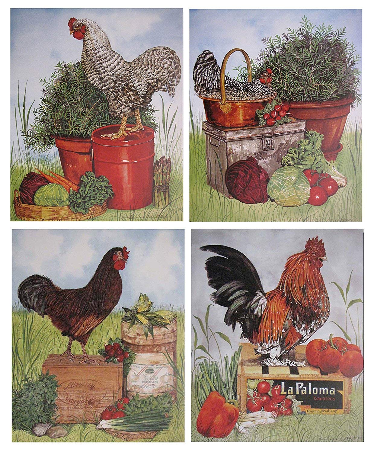 Rooster Chicken Farm Animal Four 8x10 Set Picture Kitchen Wall Decor Art Print Posters