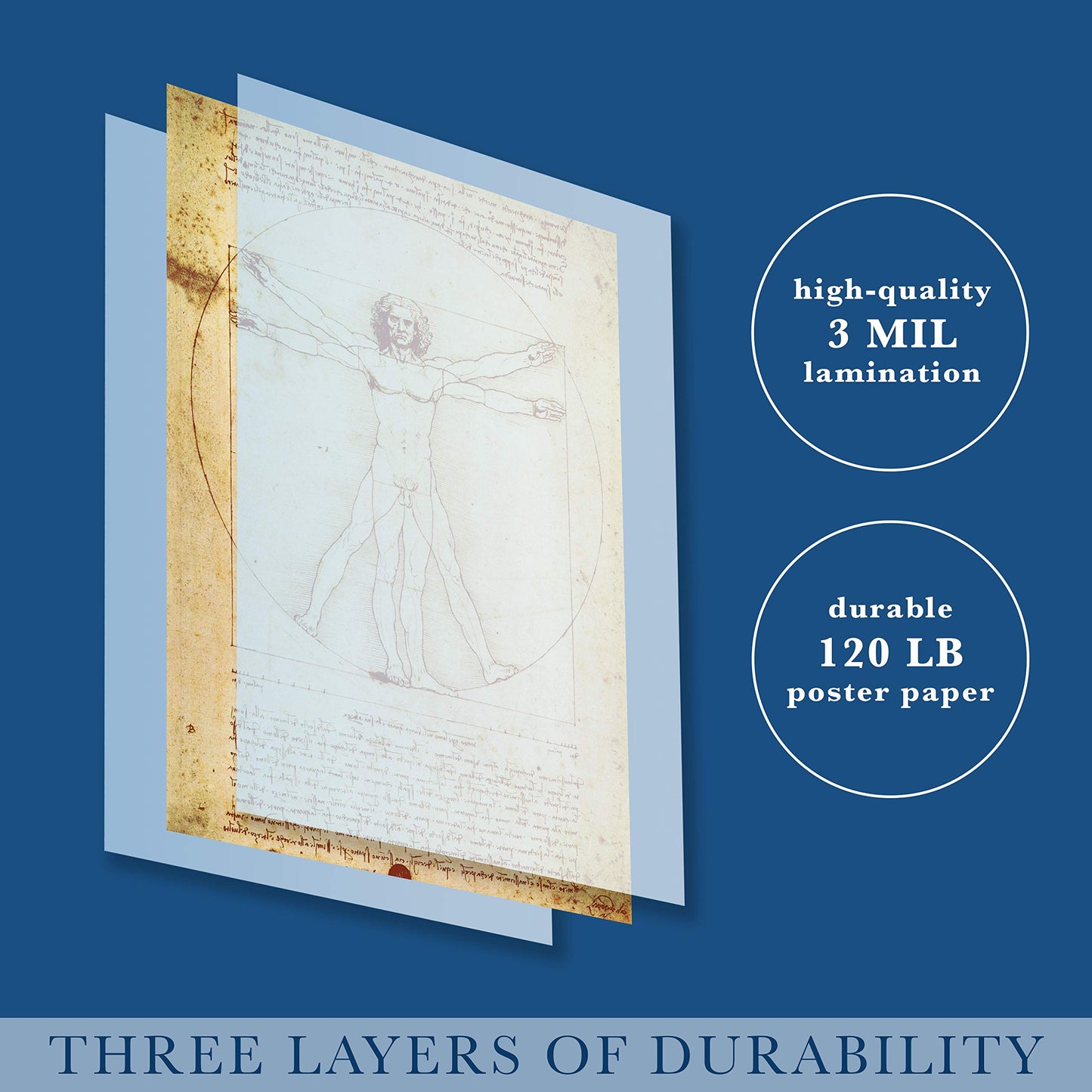 Palace Learning Vitruvian Man by Leonardo Da Vinci Poster - Proportions of The Human Figure Drawing - Fine Art Print (Laminated, 18" x 24")