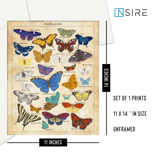 Insire Vintage Butterfly Poster - Aesthetic Butterfly Prints Wall Art, Butterfly Room Decor Aesthetic, Vintage Butterfly Wall Art, Butterfly Art Wall Decor - Unframed Set of 1 (11x14”)