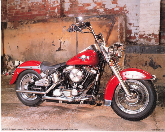 Vintage Red Harley Davidson Motorcycle Wall Decor Art Print Poster (16x20)