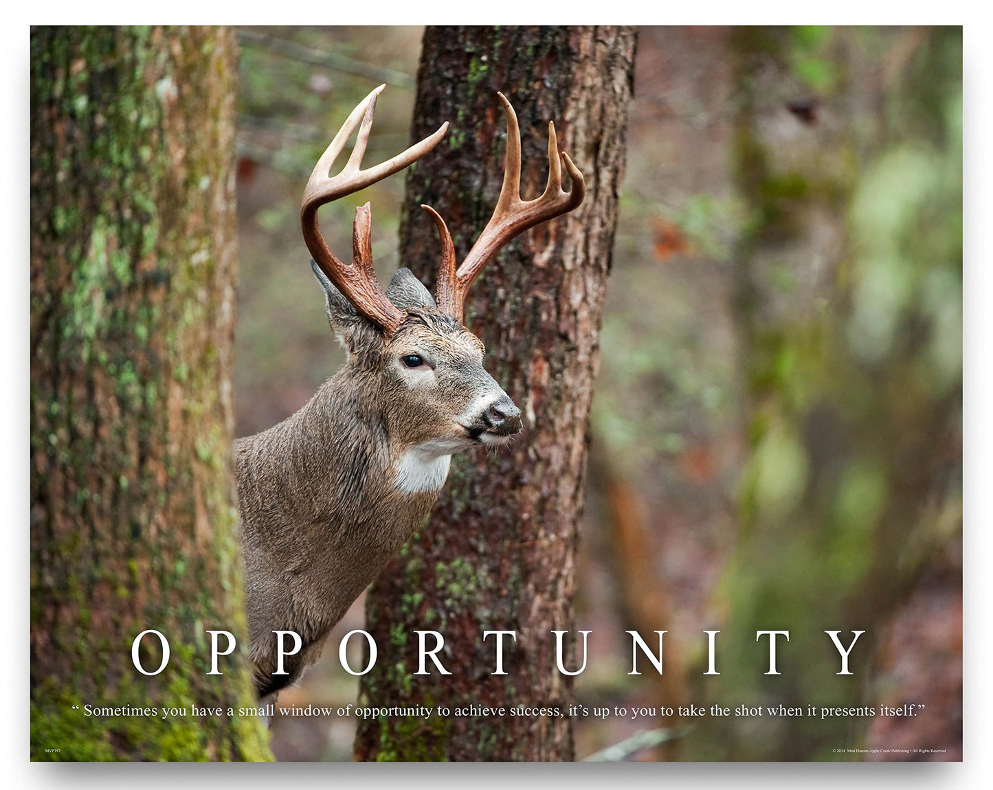 Queenmew. Whitetail Deer Motivational Poster Art Print 11x14 Bow Hunting Buck Commander Wall Decor Pictures.