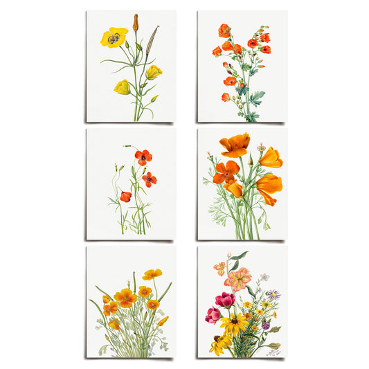 Vintage California Poppy Floral Prints (6 PRINTS) | Modern Wall Art Victorian Illustration UNFRAMED Modern Decorations | Antique Decor Boho Abstract Set Aesthetic | Living Room Bedroom Bathroom Office Kitchen Large Poster | Boy Girls Teen Kids Baby | Mary