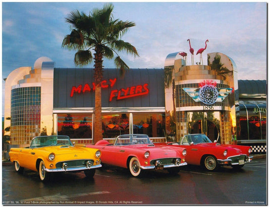 Wall Decor 1955 1956 1957 Ford Thunderbirds Vintage Car Art Print Poster (16x20)