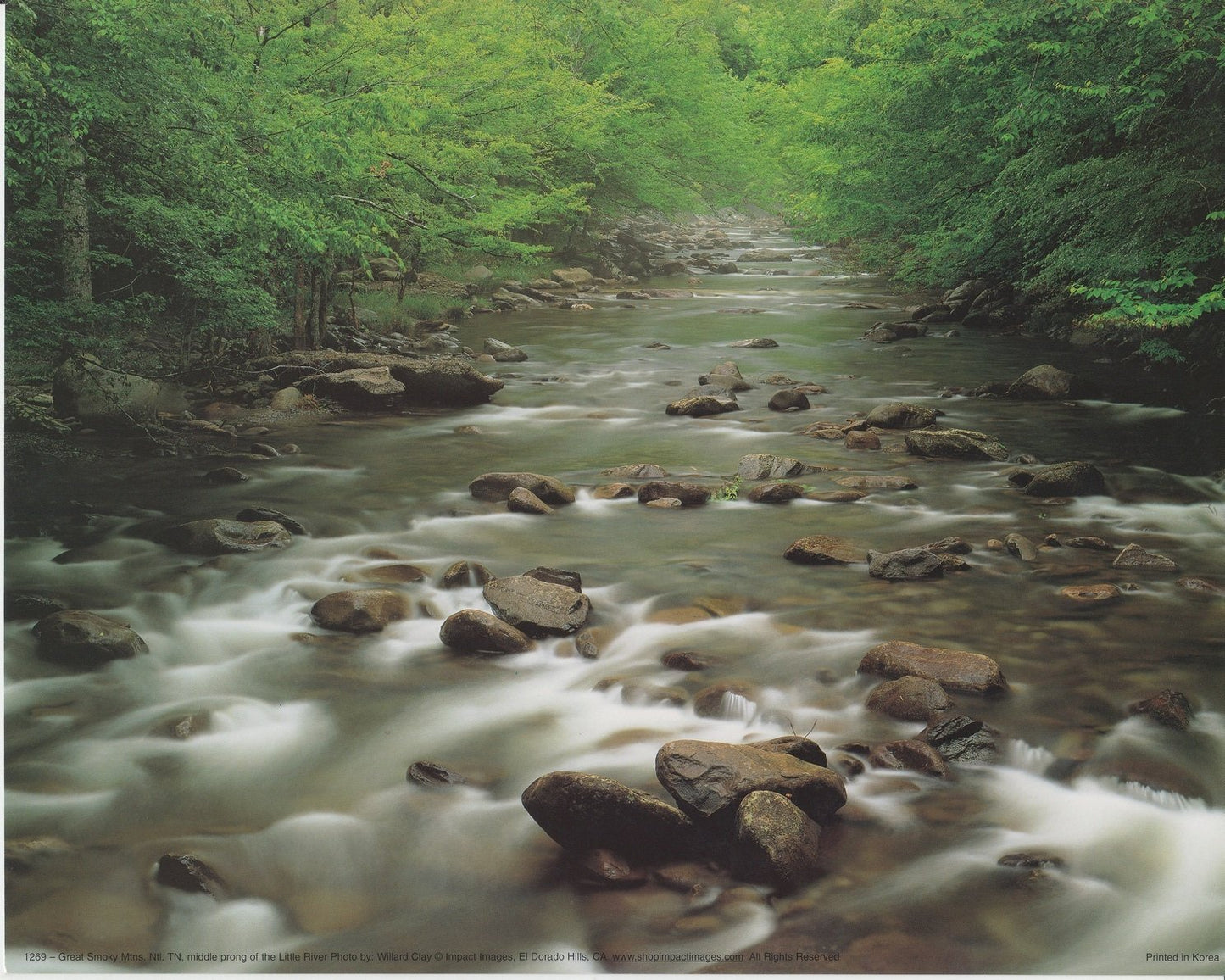 Great Smoky Mountain Middle Prong of the River National Park Nature Wall Decor Art Print Poster (16x20)