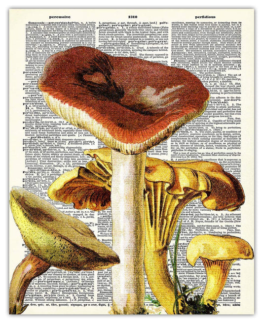 Vintage Mushroom Botanical Farmhouse Wall Art Poster Print, 8x10 Boho Flower Decoration Prints, Nature Pictures, Aesthetic Floral Posters for Any Room, Bedroom, Bathroom, Kitchen & Office Decor