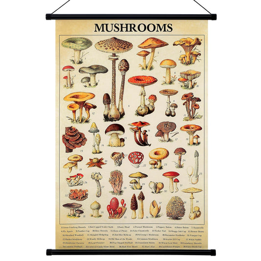 Geyee Vintage Mushroom Poster Fungus Wall Art Prints Rustic Mushroom Wall Hanging Illustrative Reference Chart Poster for Living Room Office Classroom Bedroom Decor Frame, 15.8x23.6 Inch (Kraft Color)