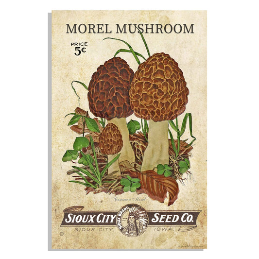 Inspirational Wall Art Co. - Sioux City - Vintage Morel Mushroom Motivational Quotes Posters - Poster Print for Home Kitchen Office Decor - 11X17 inches