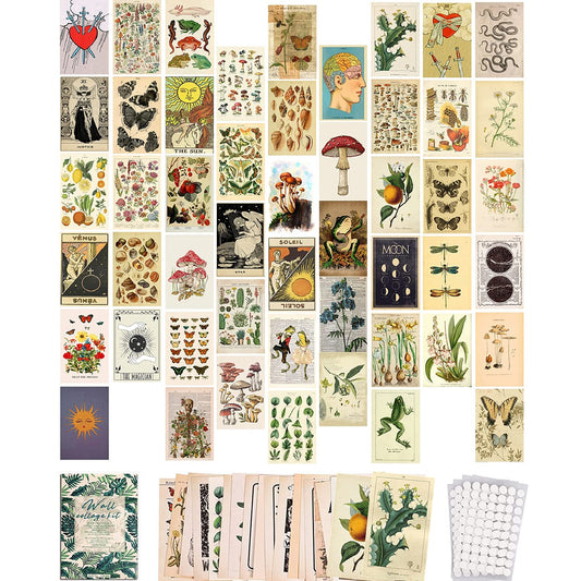 SOONYO Vintage Botanical Illustration Tarot Aesthetic Pictures Wall Collage Kit, Trendy Small Poster for Dorm, Vintage Style Art Print Photo Collection (Multicolor, 50pcs)