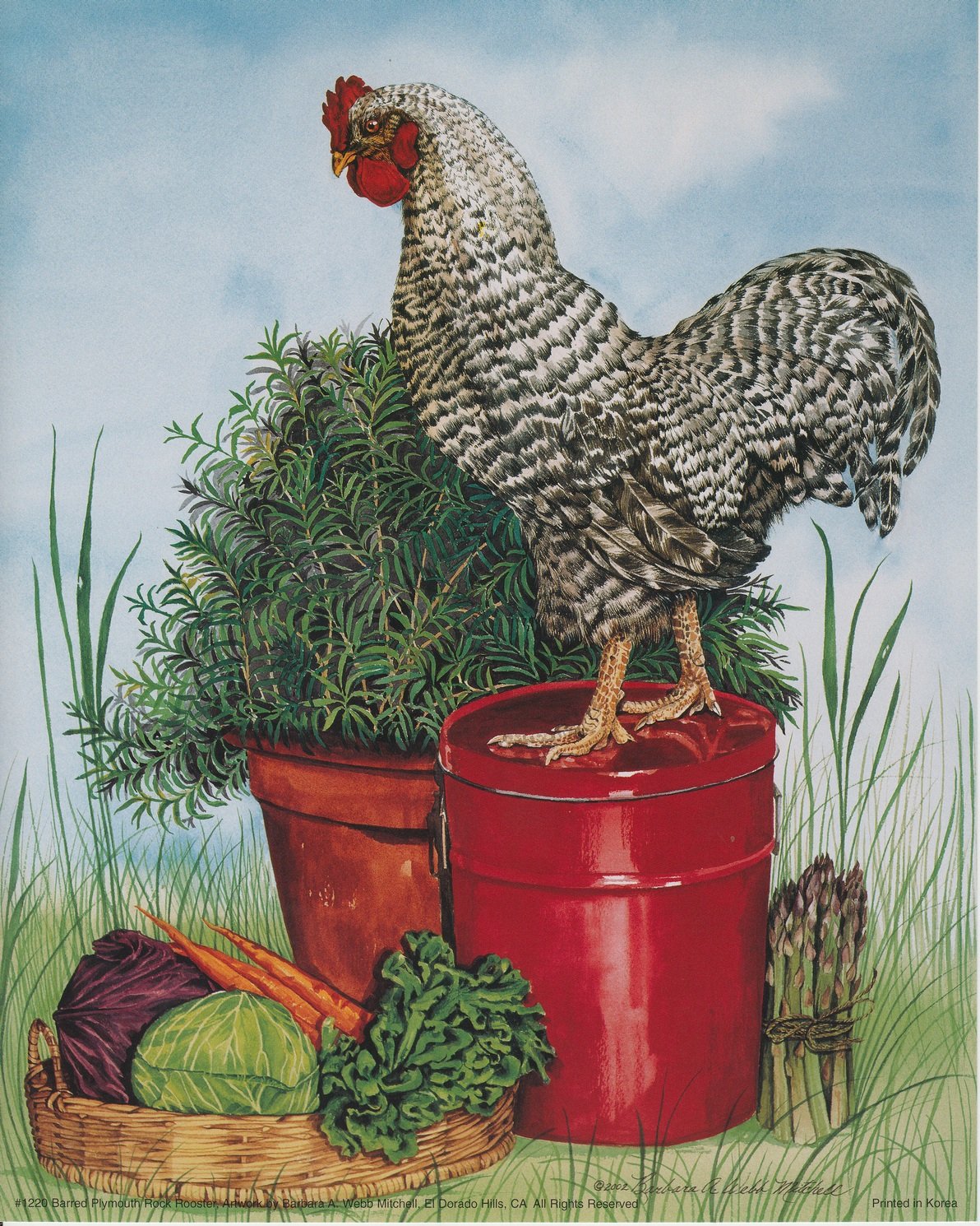 Barred Plymouth Rock Rooster Chicken Wall Decor Picture Art Print Poster (16x20)