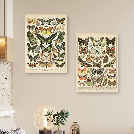 2 Pack Vintage Butterfly Poster, Retro Style Canvas Wall Decor Art Painting,Without Fading(11" x14")