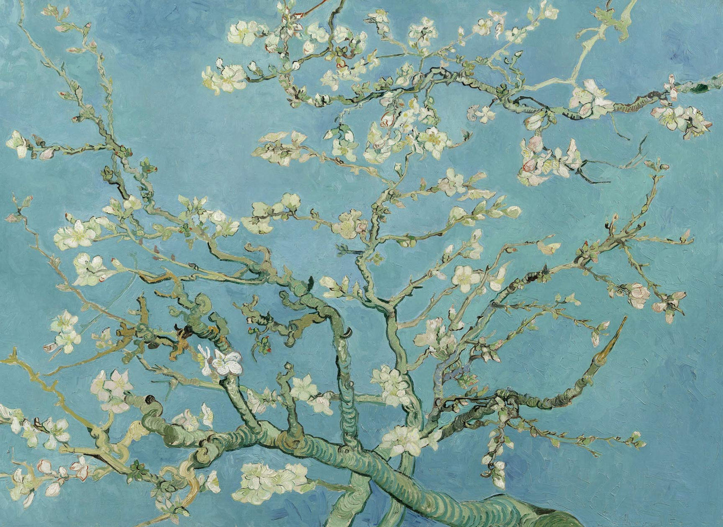 Palace Learning Vincent Van Gogh Almond Blossom Poster Print - 1890 - Fine Art Wall Decor (18" x 24", Laminated)