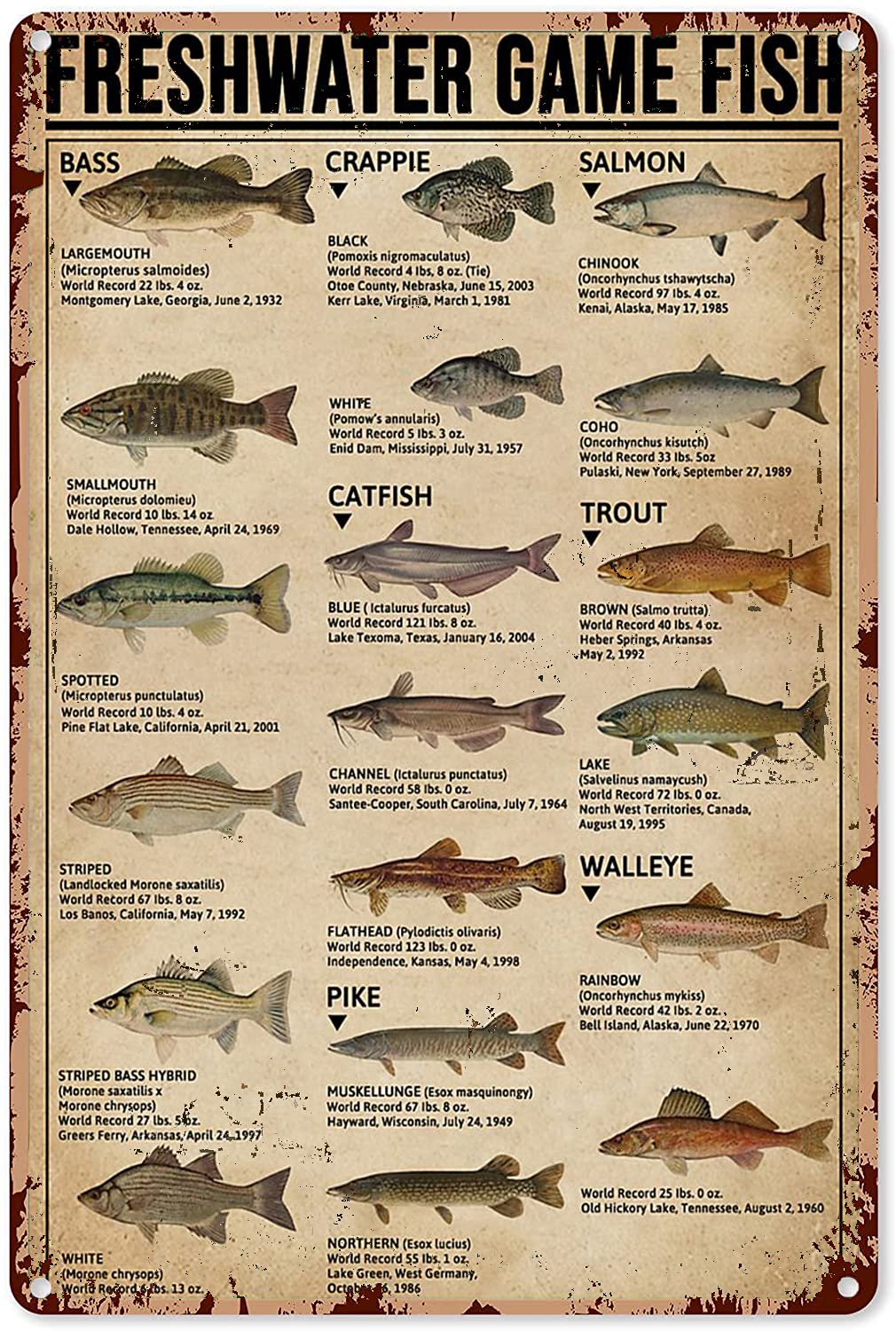 HERYNLRN Retro Tin Signs Vintage Style Fishing Art Prints Type of Fish Freshwater Game Fish Knowledge Chic Metal Poster Wall Decor Art Gift for Man Cave Boys Room Garage 8 X 12 in