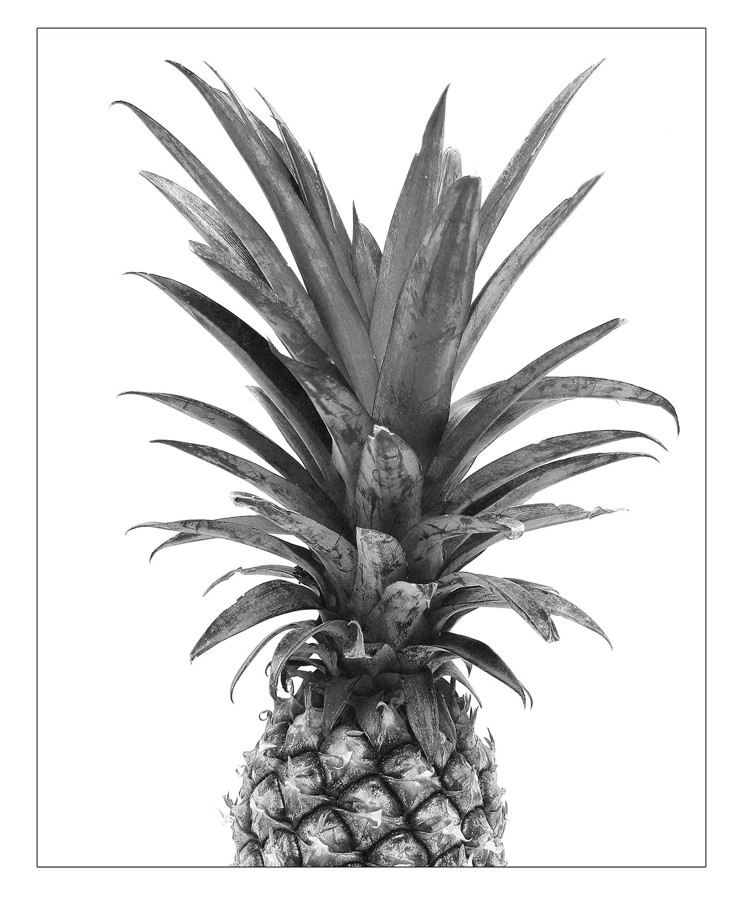 Modern Home Pineapple Inspirational and Motivational Wall Decor Prints. Artwork for Bedroom, Bathroom, Office, Kitchen, Living Room, House, Bathrooms. Poster Decorations ft Quotes and Pineapples