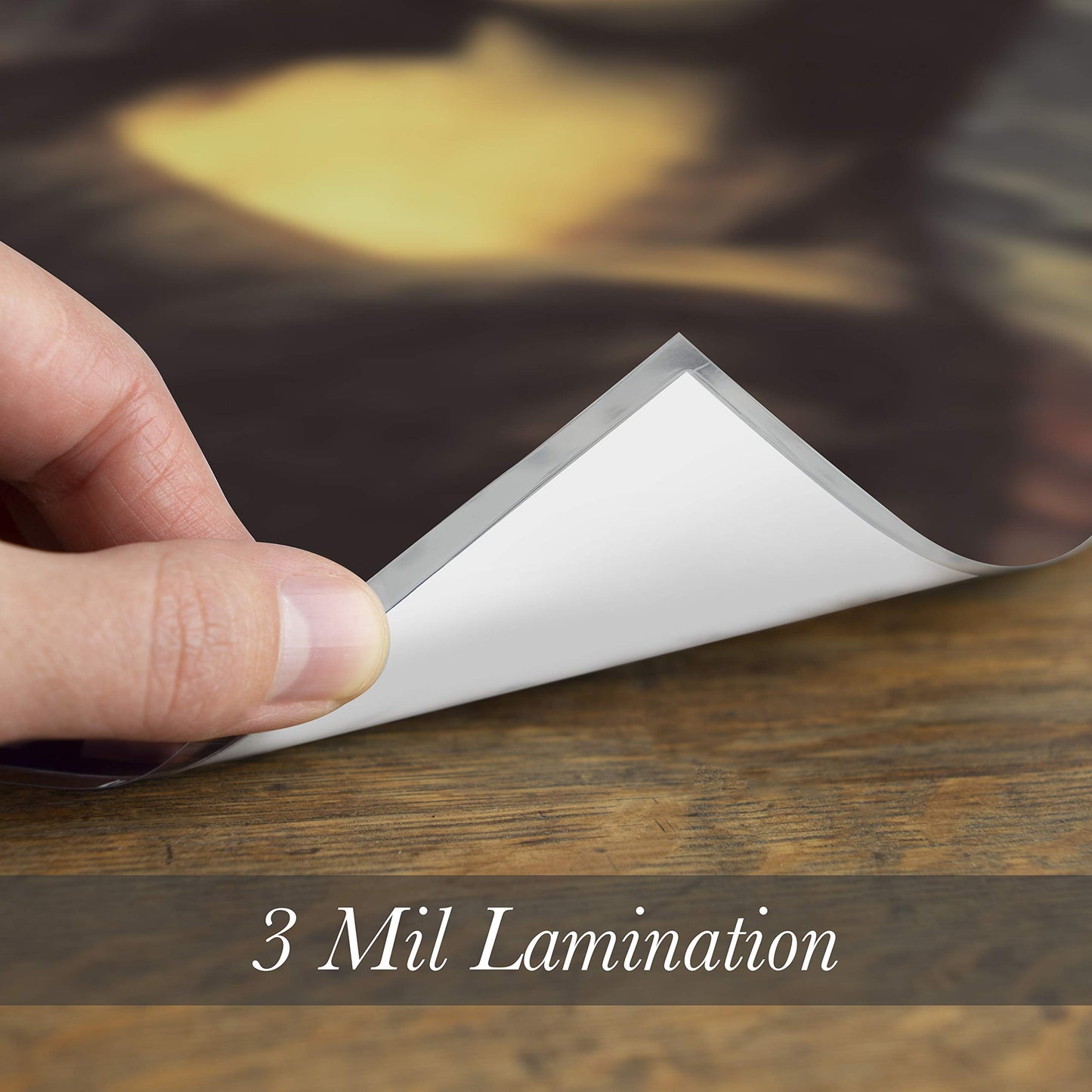 Palace Learning Mona Lisa Poster by Leonardo Da Vinci - Fine Art Print (Laminated, 18" x 24")