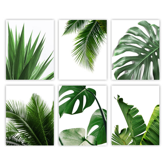 Canssape Set of 6 Botanical Wall Art Prints 8"x10" Turtleback bamboo Poster Prints Room Decor Aesthetic Wall Decor for Bedroom Botanical Posters for Living Room Wall Decor (Unframed)