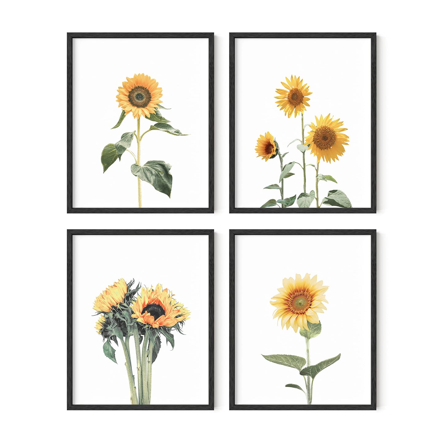 HAUS AND HUES Sunflower Wall Decor and Sunflower Posters Set of 4 Sun Flower Wall Art | Sunflower Paintings for Wall Sunflower Wall Art Sunflower Photos Sunflower Decor (8" x 10", UNFRAMED)